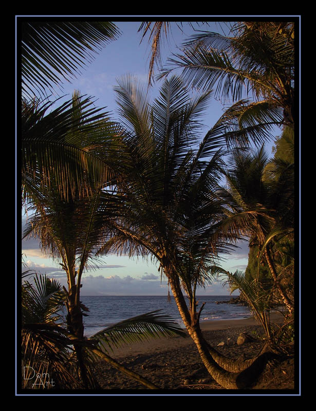 ADG plage4.jpg